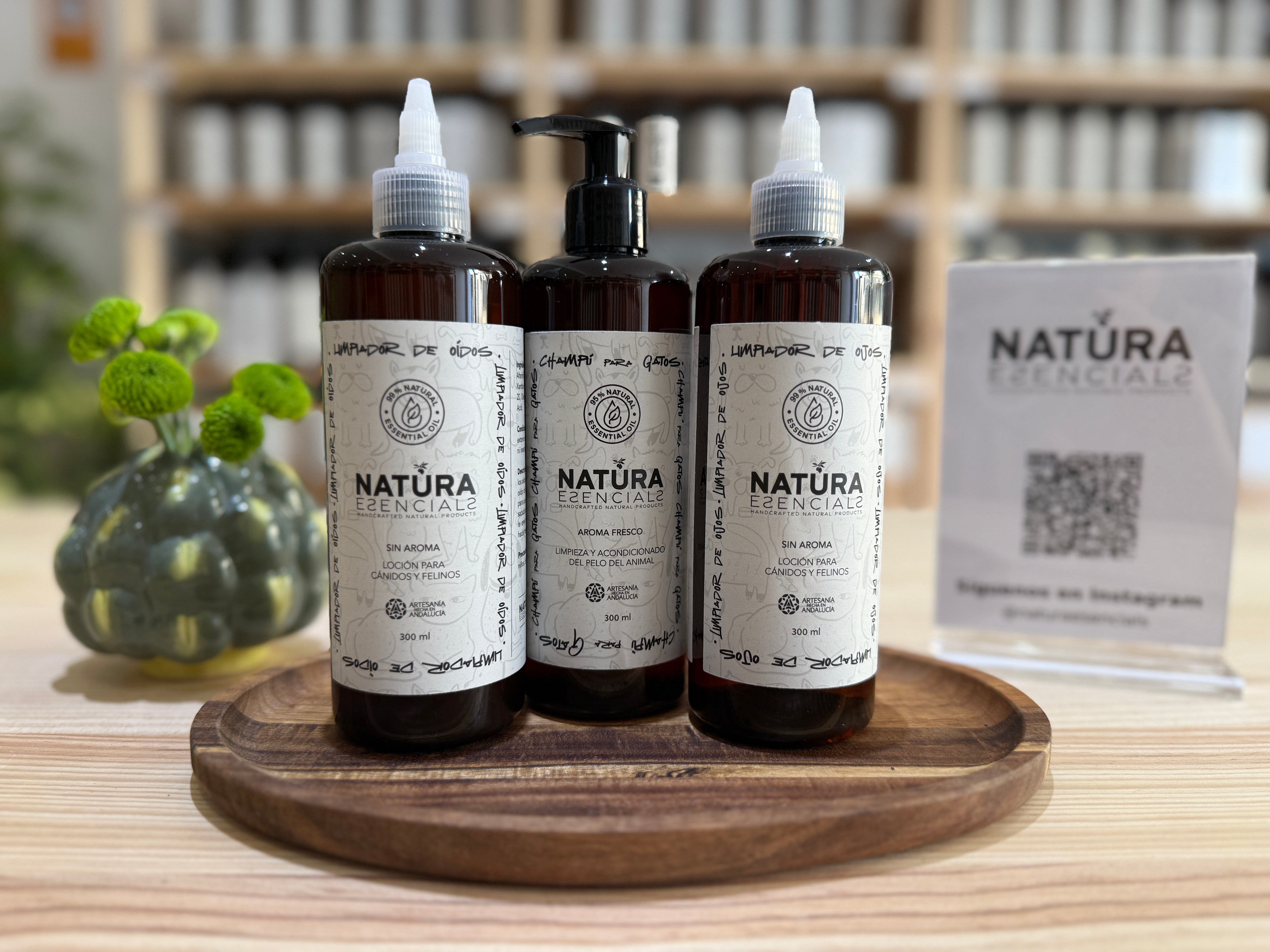 Pack Mascota Gato Black Friday