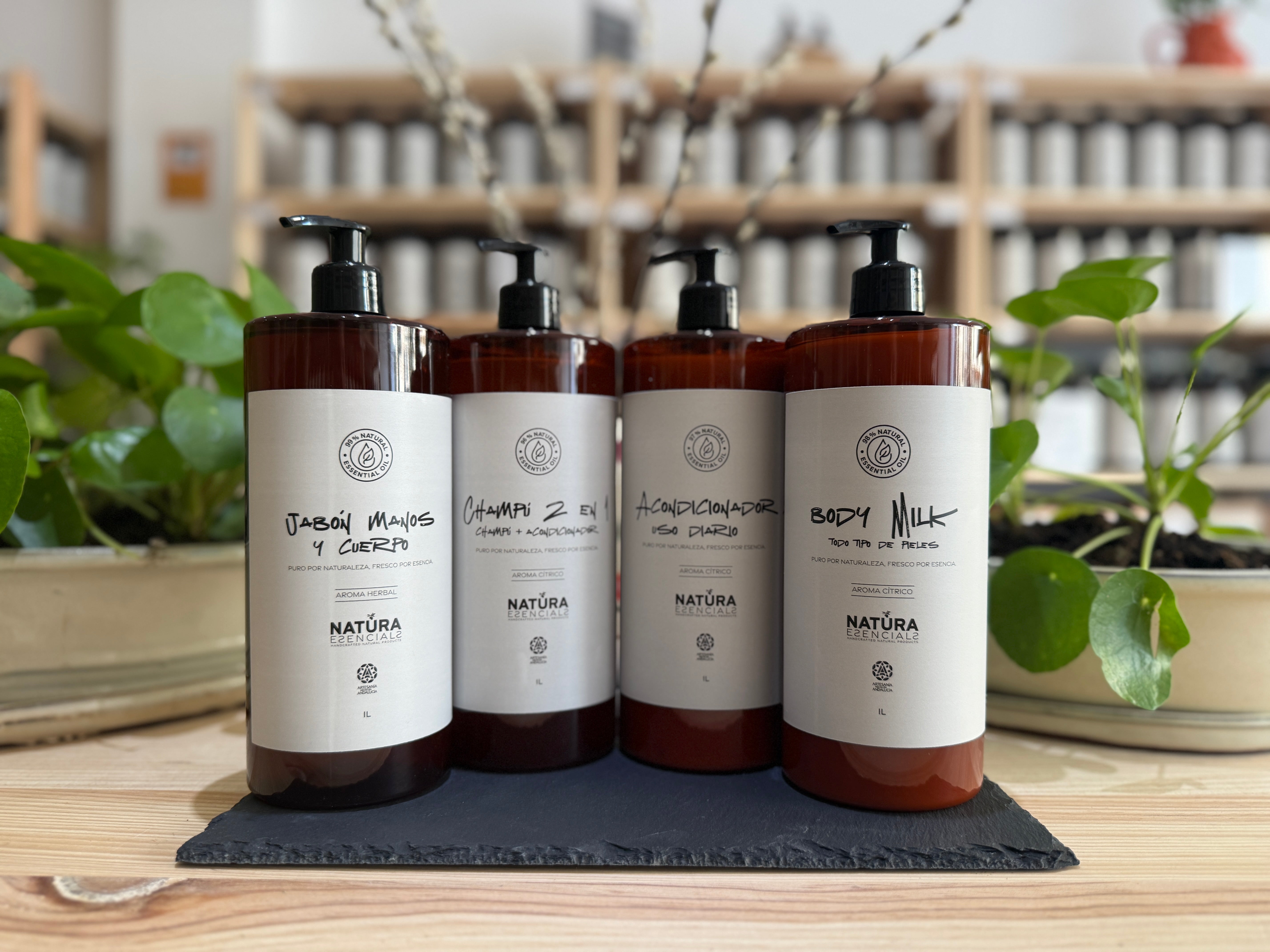 Pack Familiar Black Friday